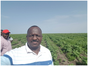 المشروع الزراعي 14