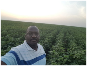 المشروع الزراعي 15