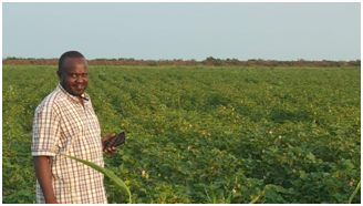 المشروع الزراعي 16